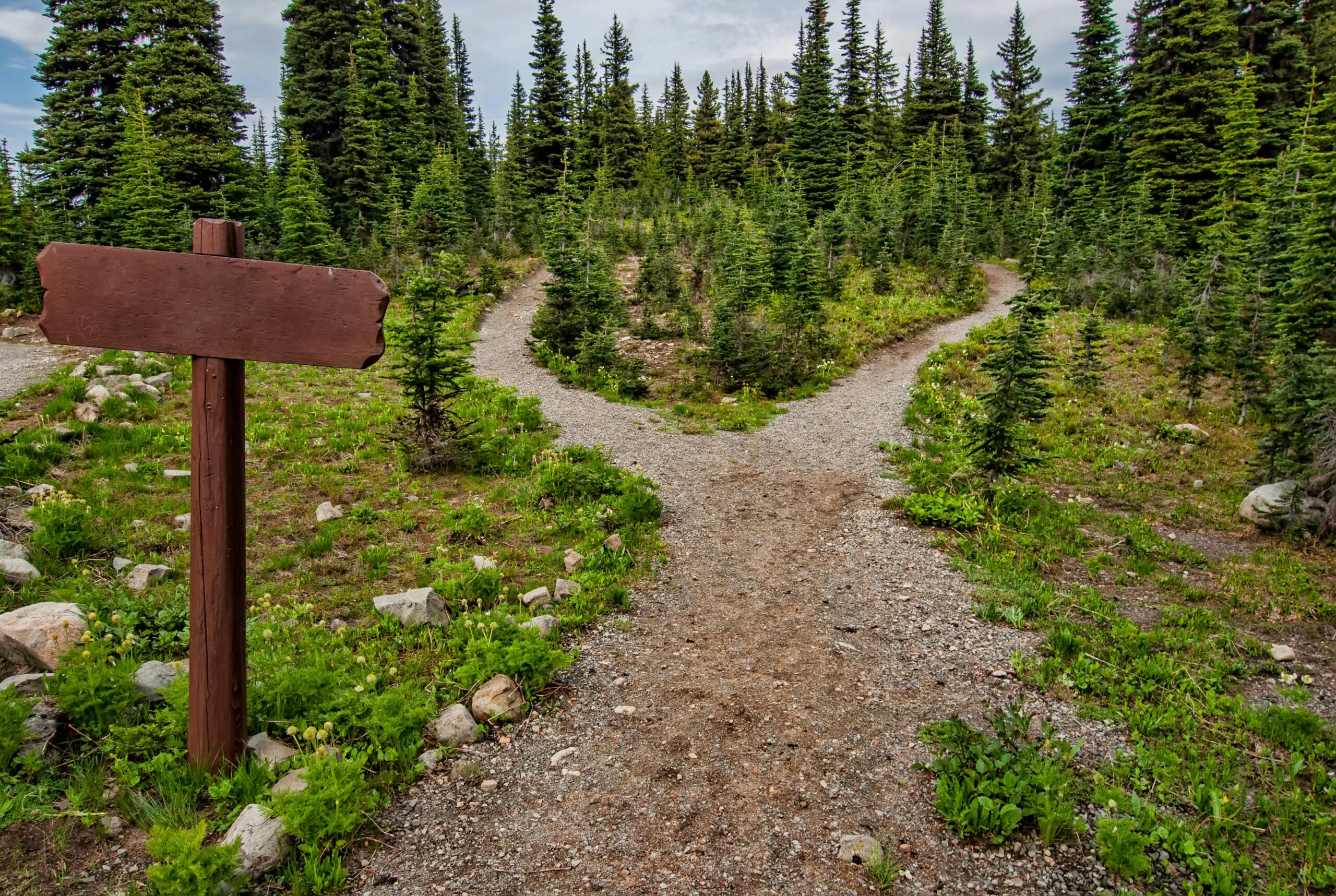 Path splitting in two with an unmarked sign in the foreground